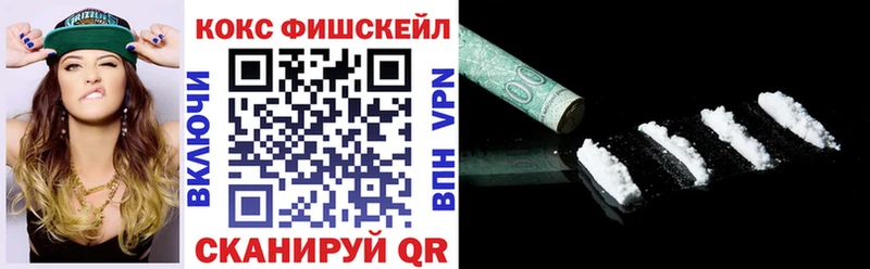 Cocaine FishScale  Купить закладки  Саров 