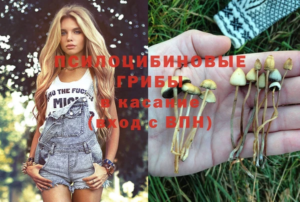 синтетический гашиш Ельня