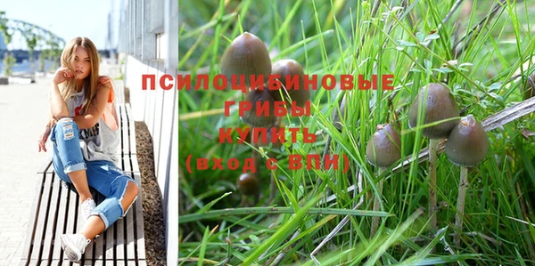 гашиш Елизово