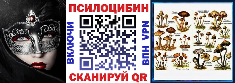 Купить закладки  Саров  Галлюциногенные грибы GOLDEN TEACHER 