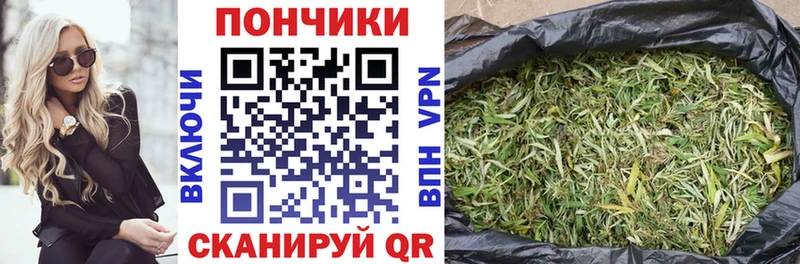 Каннабис планчик Купить Саров